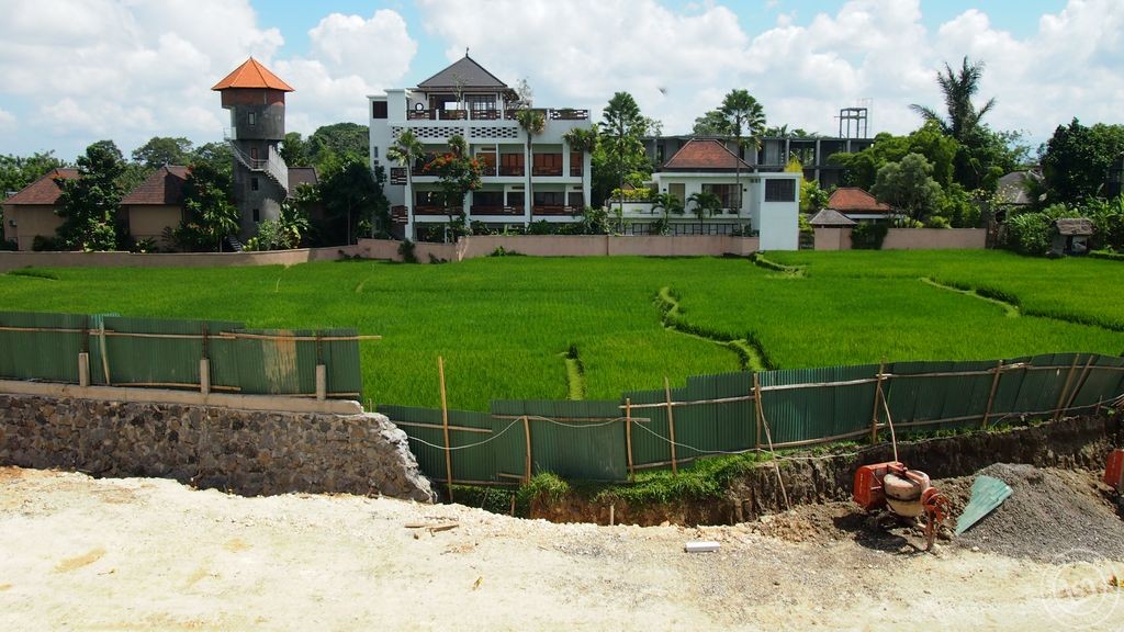 Ubud Rice Field