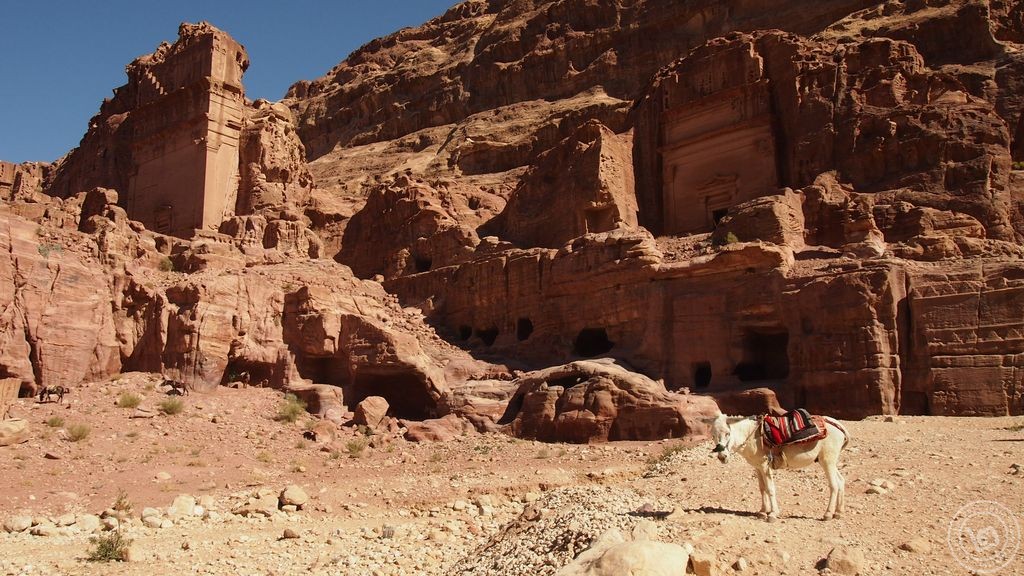 Petra เมืองในหุบเขาที่เจาะหินเข้าไป