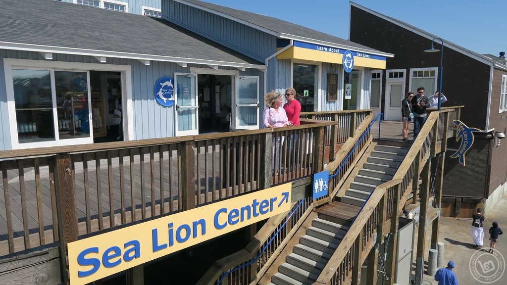 Pier 39 Sea Lion Center