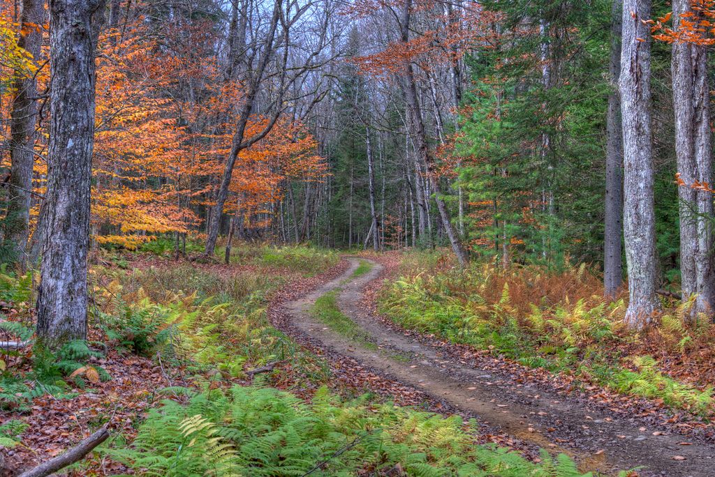 Autumn in Adirondacks / Flickr - Diana Robinson