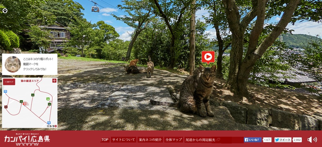 Cat Street View : Cat Community