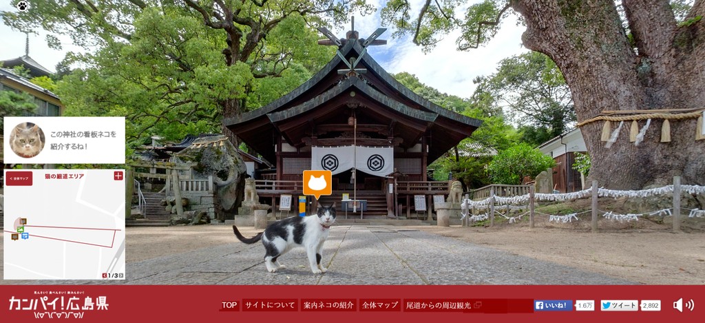 Cat Street View : Kuro Ushitora Shrine