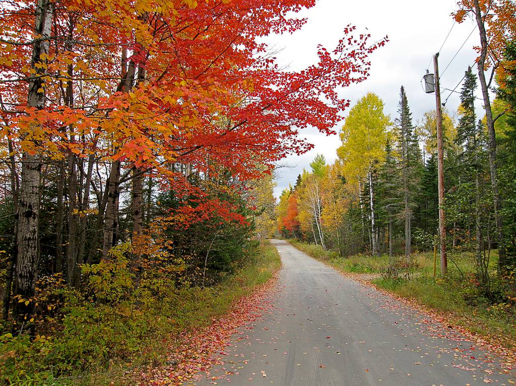 Autumn in Maine / Flickr - pfly