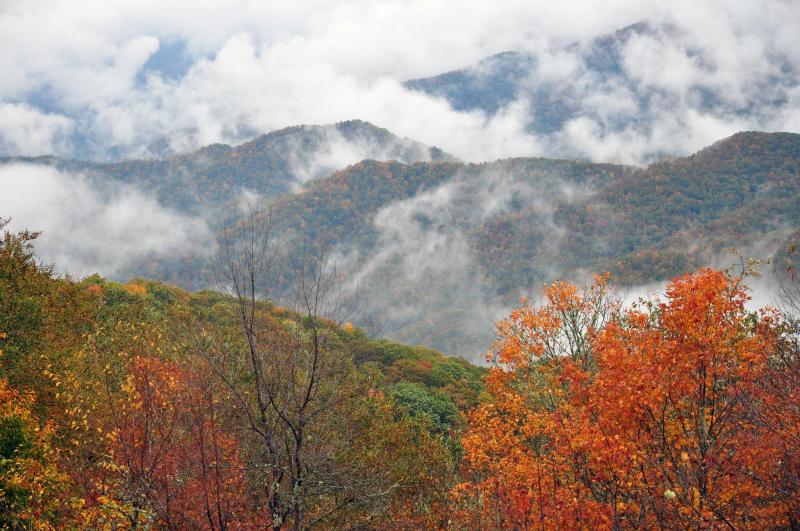 ใบไม้แดงที่อุทยาน Great Smoky Mountains National Park (ภาพจาก National Park Service)