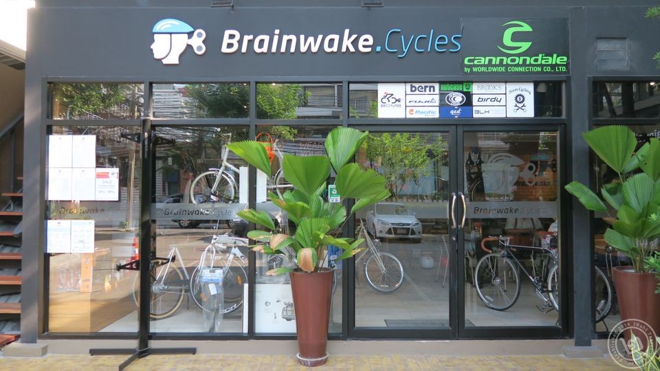 Brainwake Cycle