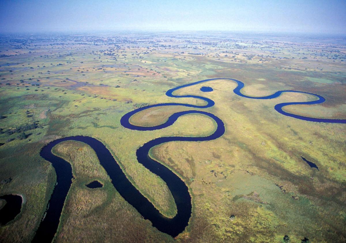 Okavango River Delta ภาพจากการท่องเที่ยว Botswana