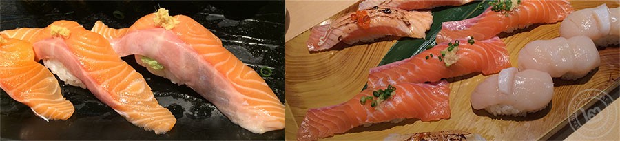 Salmon comparison midori