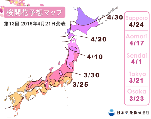 พยากรณ์ซากุระบาน โดย Japan Meteorological ครั้งที่ 13 เมื่อ 21 เมษายน 2016