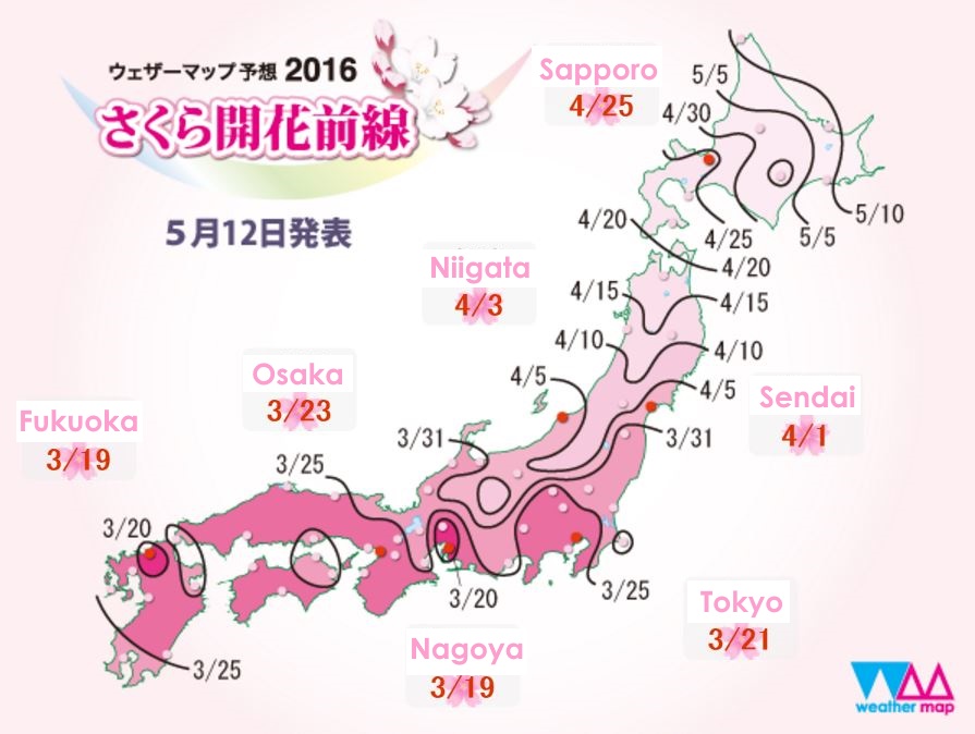 พยากรณ์ซากุระบาน โดย Weather Map ครั้งที่ 23 เมื่อ 12 พฤษภาคม 2016