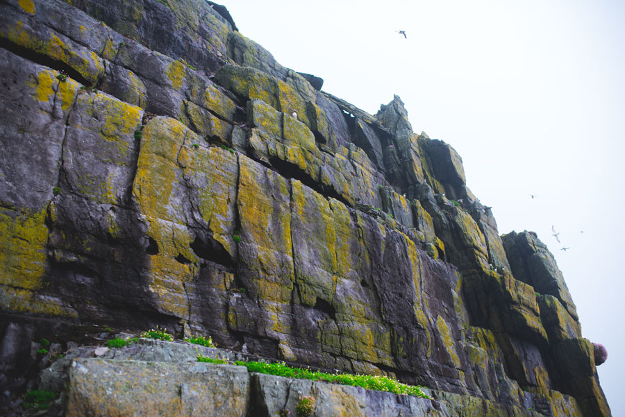 หน้าผาหินบนเกาะ Skellig Michael ภาพโดย Valerie Hinojosa / Flickr