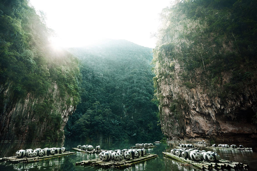 1600 Pandas ล่องแพที่กุ้ยหลินน้อย เมืองอิโปห์ ประเทศมาเลเซีย