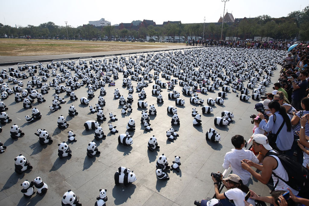 1600 Pandas+ TH สนามหลวง