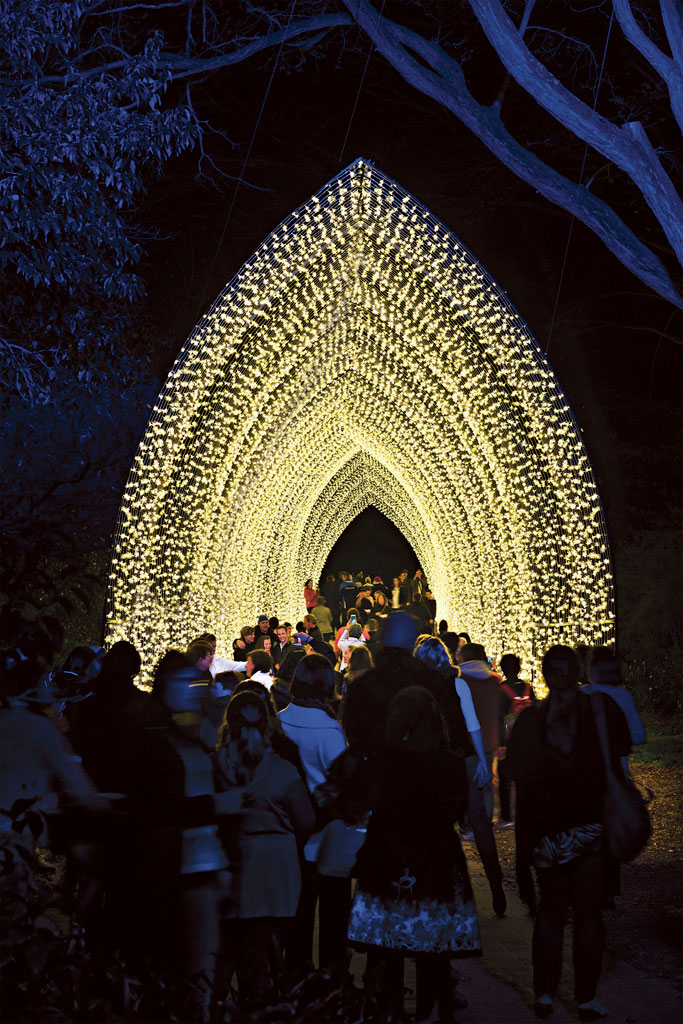 Royal Botanic Garden ,Vivid Sydney - Cathedral of Light