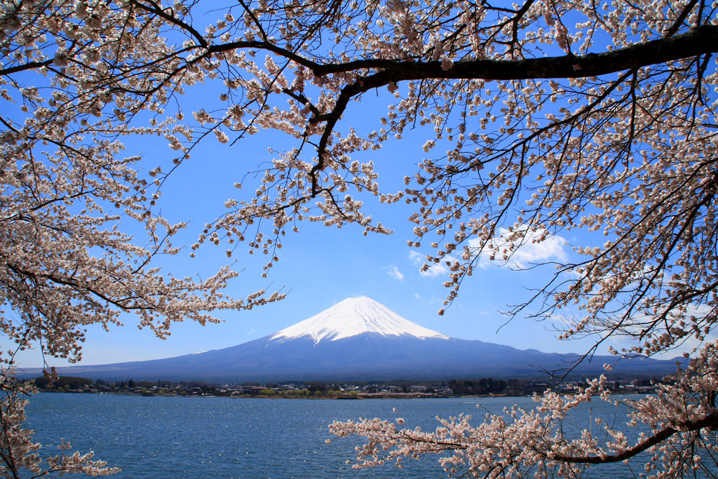 ภูเขาไฟฟูจิ Mt.Fuji