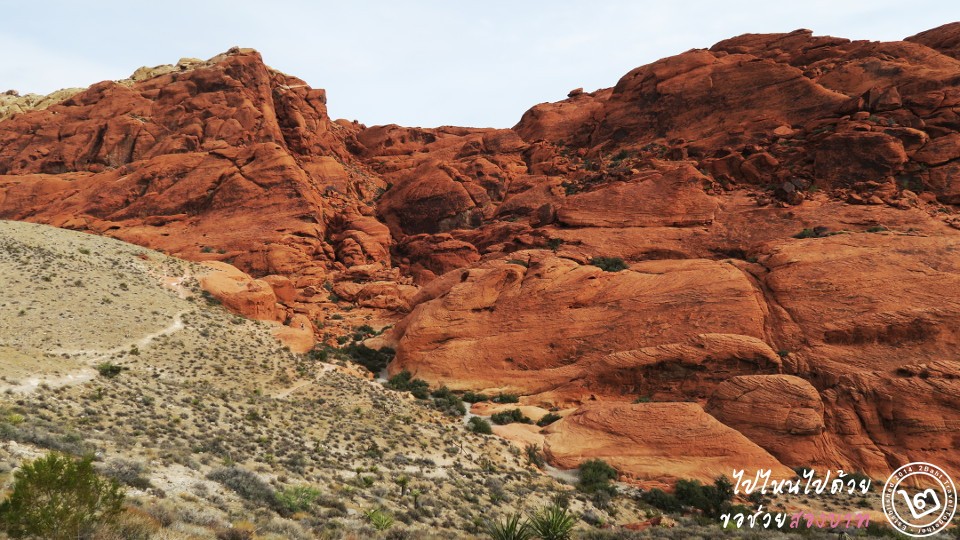 red-rock canyon