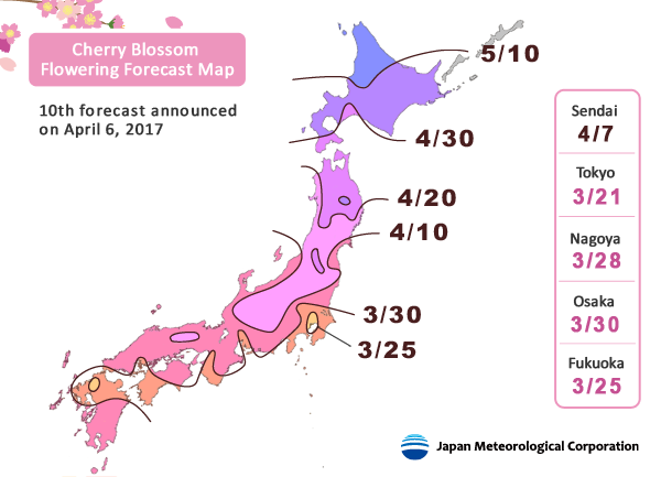 พยากรณ์ซากุระบาน โดย Japan Meteorological ครั้งที่ 10 เมื่อ 7 เมษายน 2017