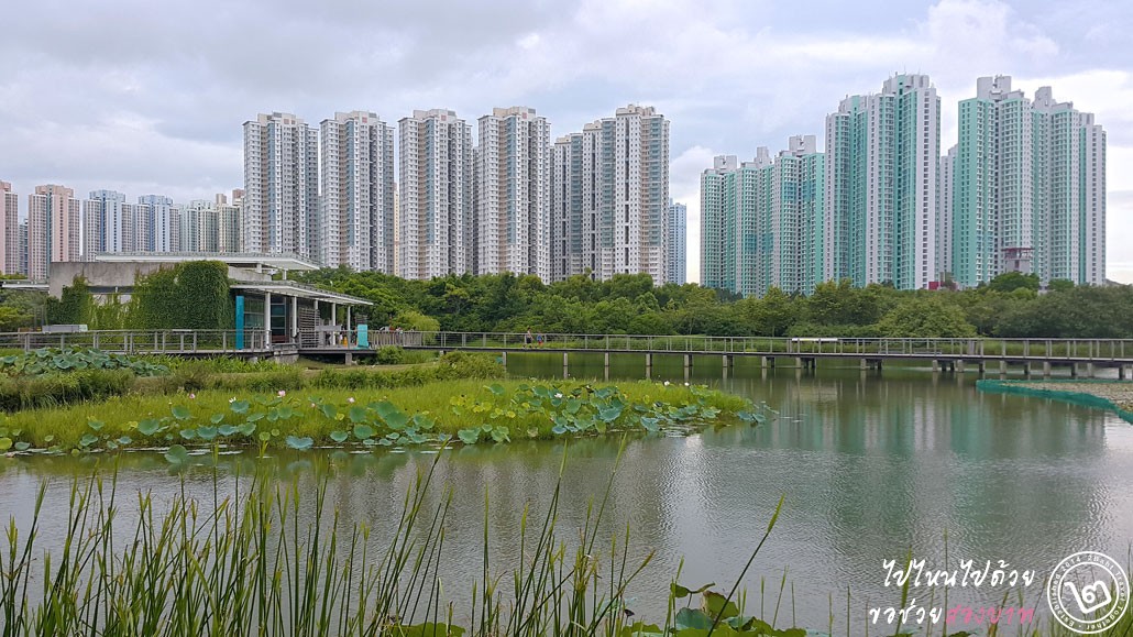 พาเที่ยว Hong Kong Wetland Park แหล่งท่องเที่ยวเชิงนิเวศที่ไม่ควรพลาด