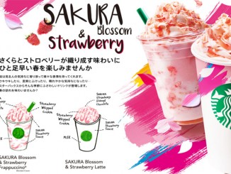 Japan Starbucks Sakura 2016