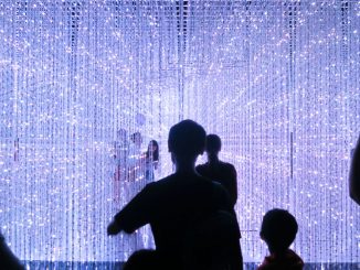Crystal Universe - นิทรรศการ Future World ArtScience Museum สิงคโปร์