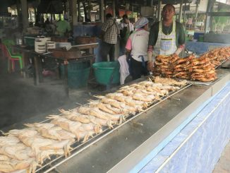 นิว ไก่ย่างบัวตอง วิเชียรบุรี เพชรบูรณ์