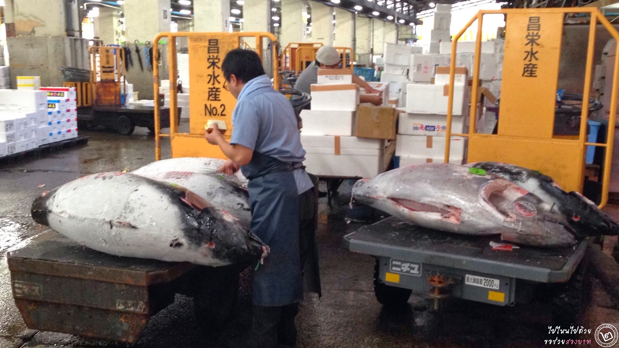 ตลาดปลาซึกิจิ เลื่อนแผนย้ายไปที่ตั้งใหม่ จนกว่าผลตรวจสอบมลภาวะจะดีขึ้น
