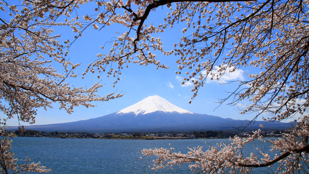 ภูเขาไฟฟูจิ Mt.Fuji