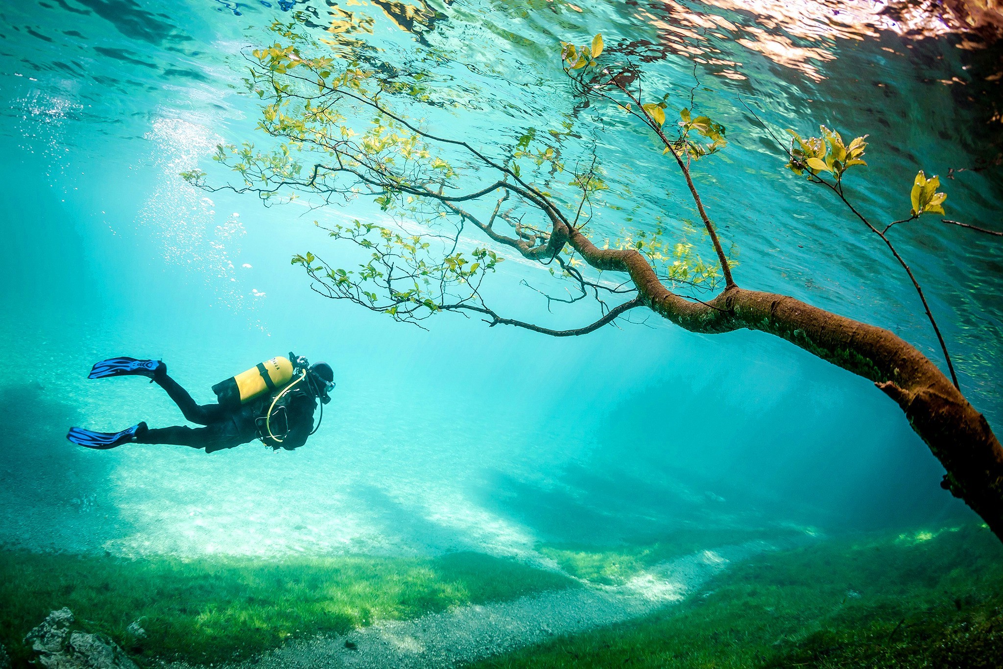 Grüner See สวรรค์ใต้น้ำบนดินแห่งออสเตรีย