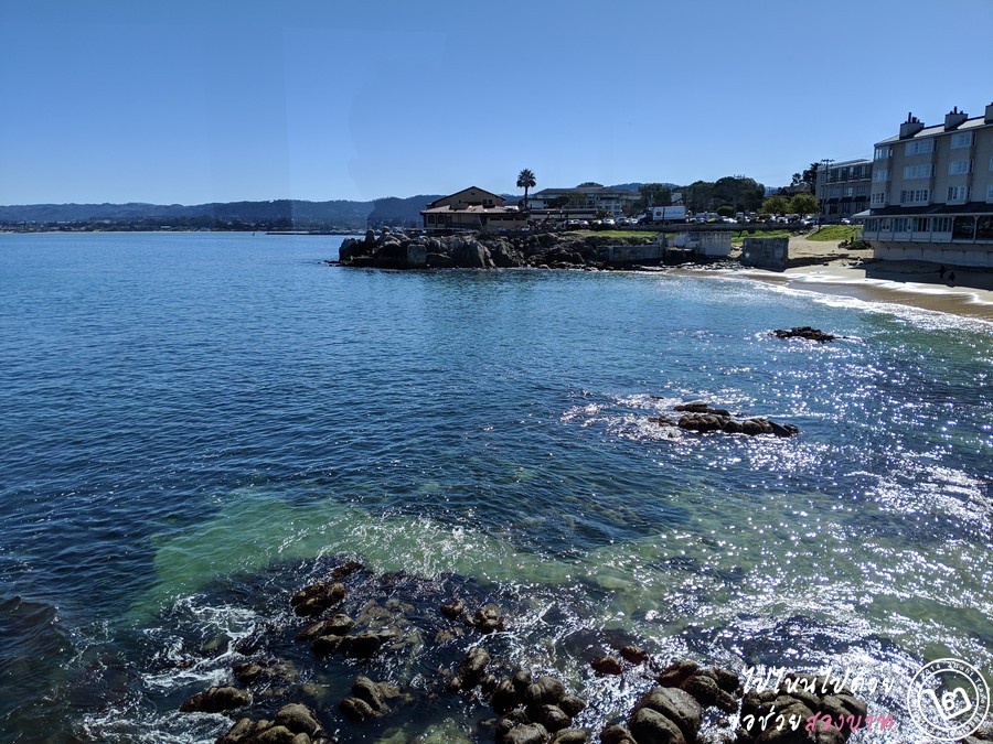 Monterey และ Carmel ทริป 1 วันนอกเมือง San Francisco